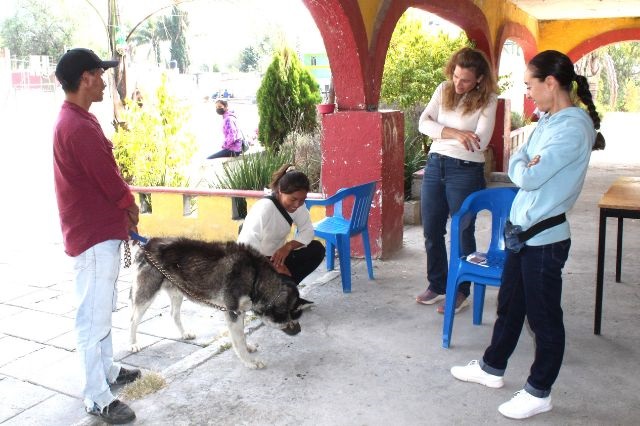 Los habitantes de Santa Cruz Alpuyeca también llevan a sus mascotas para asistirlas médicamente