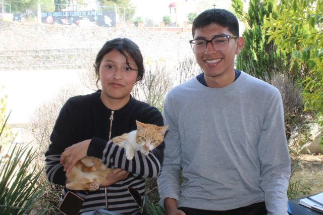 El gatito "Mei" también fue esterilizado