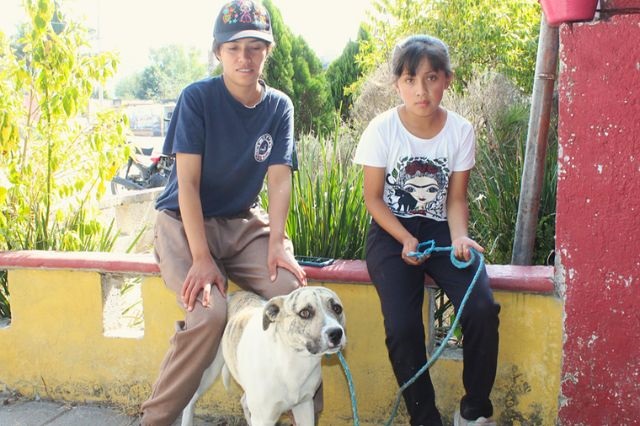 "Goody" esperando su turno para ser atendido