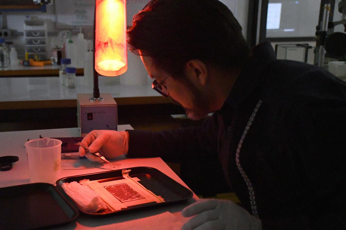 Investigador BUAP