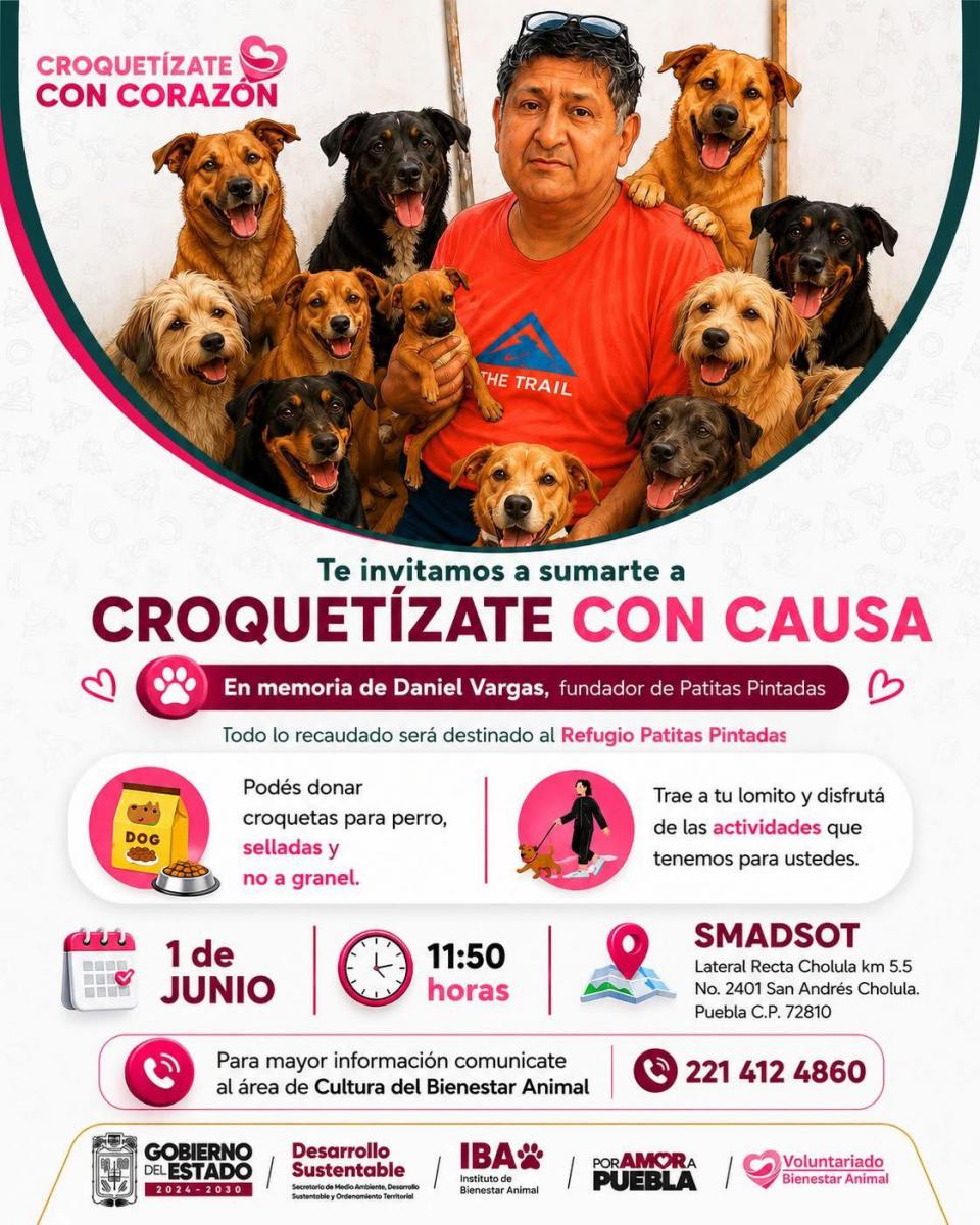 croquetizate_con_causa.jpg