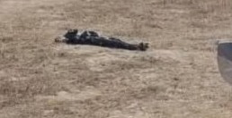 Cadáver encontrado en ejido de Tecamachalco