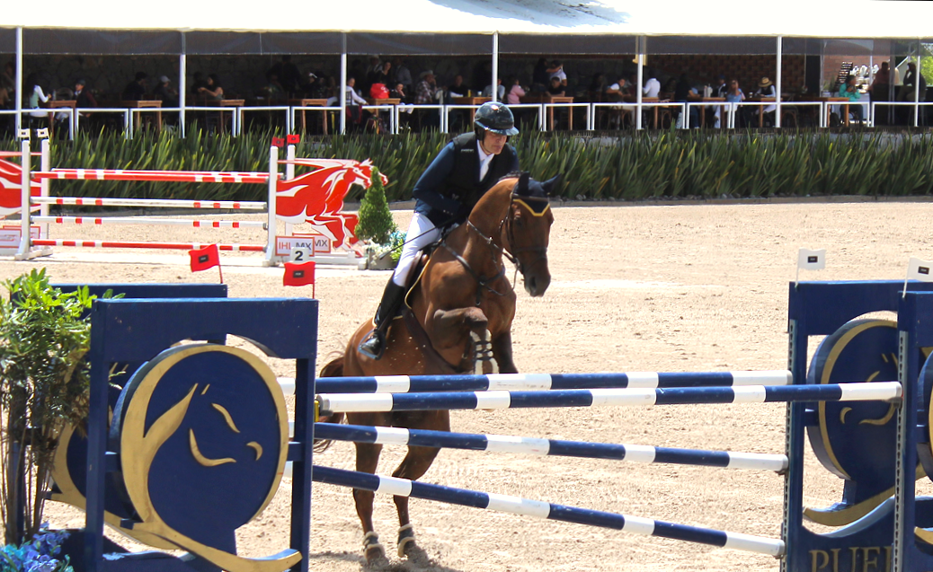 Quintas Ecuestres Haras