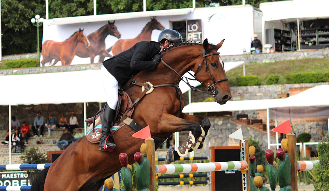 Quintas Ecuestres Haras