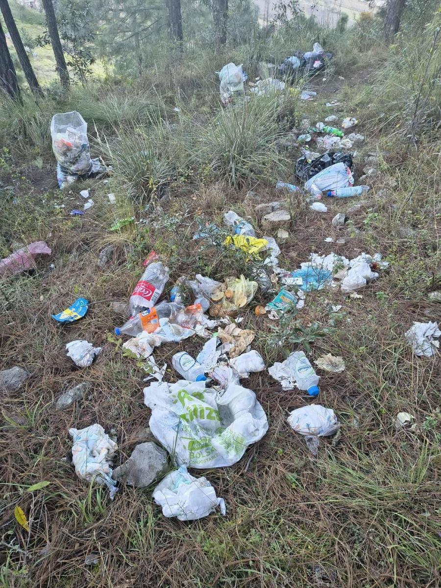 whatsapp_image_2026-01-05_at_11.38.23_am.jpeg