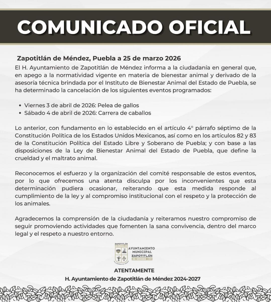 whatsapp_image_2026-03-26_at_11.42.19_am.jpeg