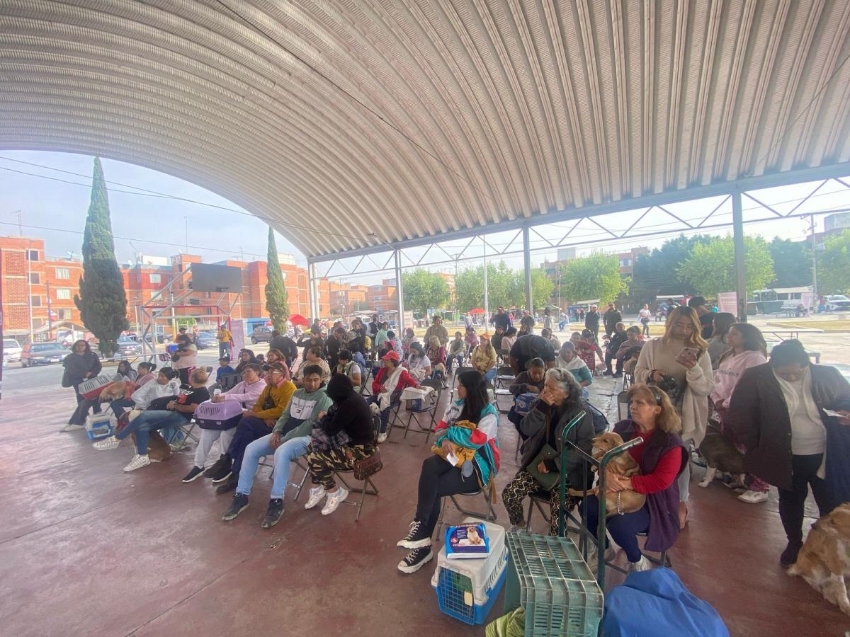 Jornadas de Bienestar Animal