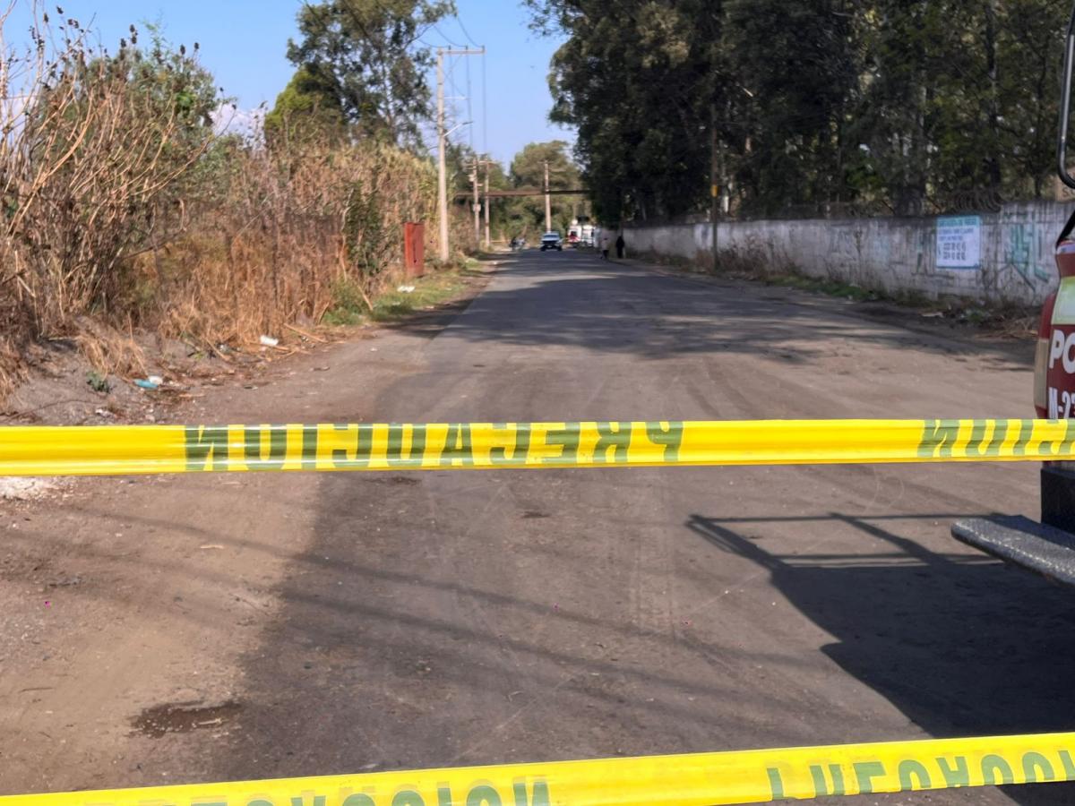 carretera_con_muertos.jpg