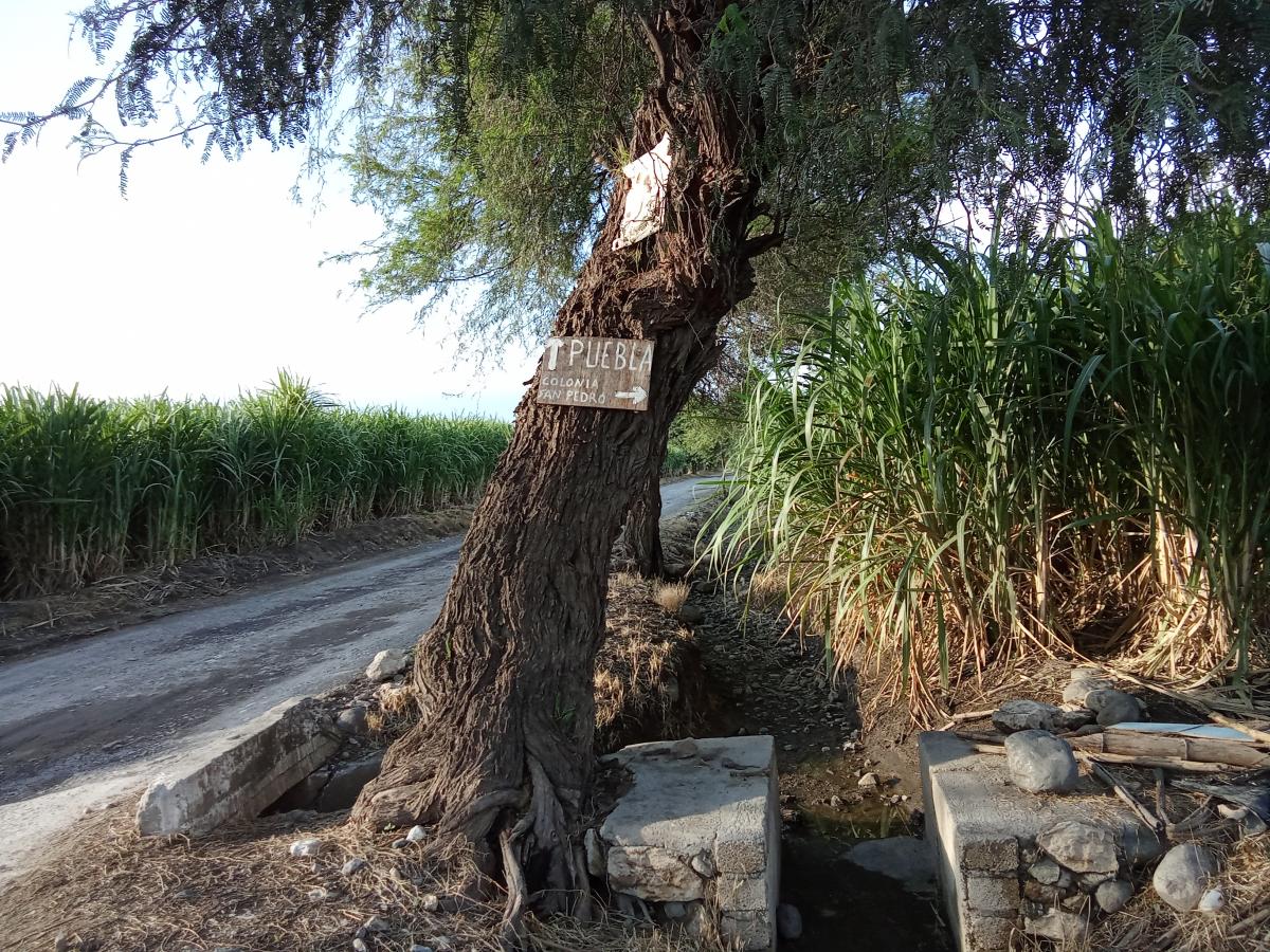 colonia_san_pedro_en_tilapa_anuncio.jpg