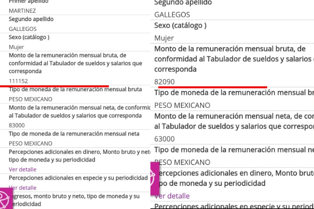 copia_de_plantilla_e-consulta_30.png