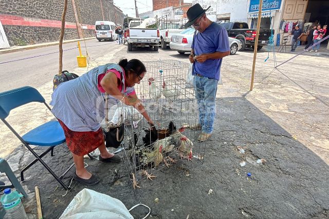 crianza_de_aves_de_rancho_en_atlixco_un_oficio_en_riesgo_de_desaparecer_2.jpg