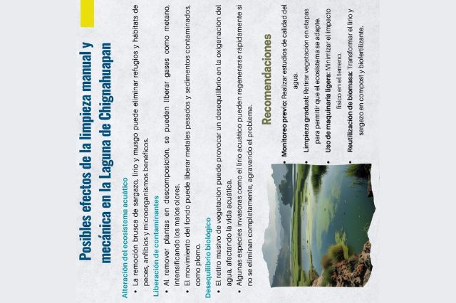faena_municipal_mata_a_los_peces_en_la_laguna_de_chignahuapan_2.jpg