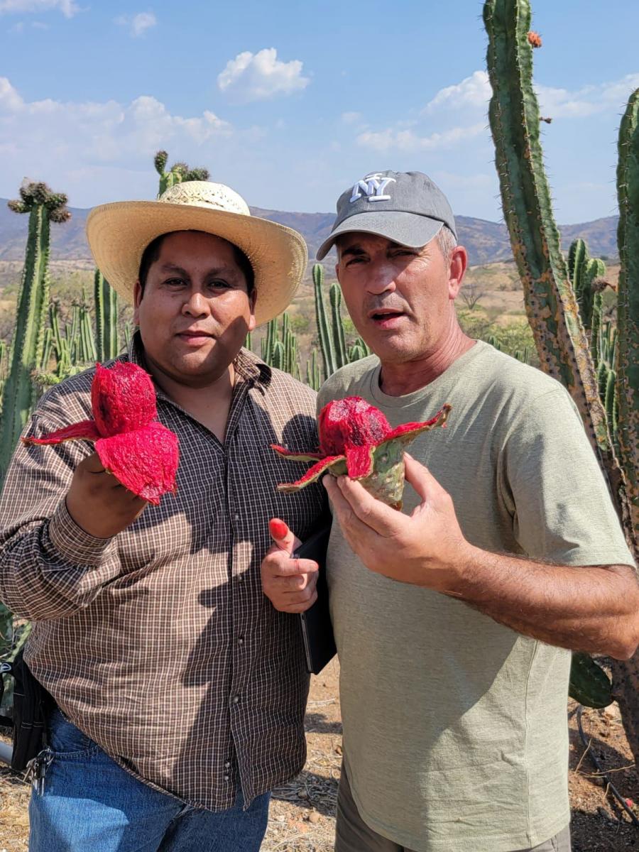 feria_pitaya_2025.jpg
