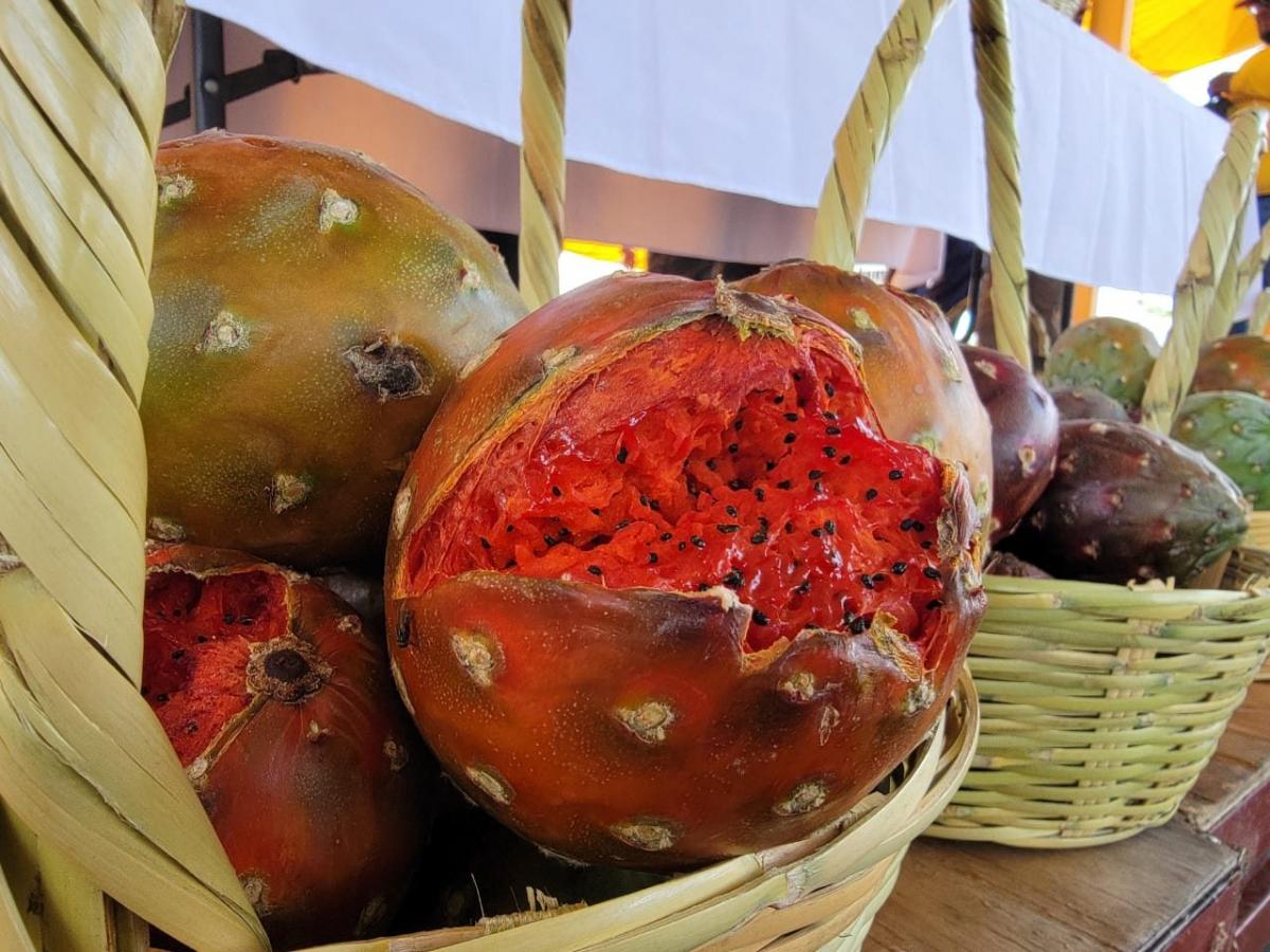 feria_pitaya_2025_2.jpg