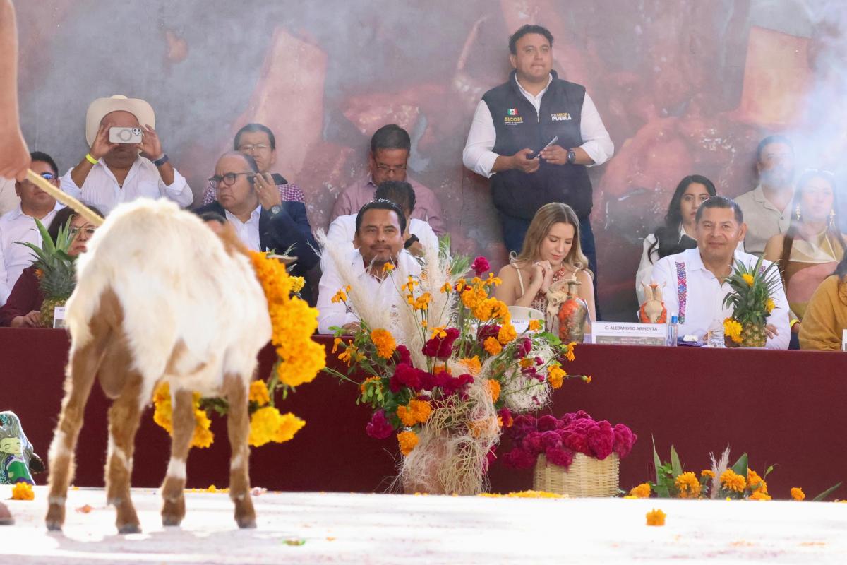 imagen_de_whatsapp_2025-10-21_a_las_20.49.45_48170b40.jpg