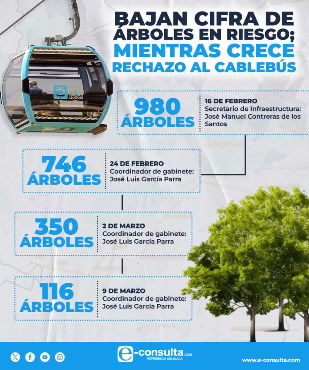 info_dichos-arboles_cablebus.jpg