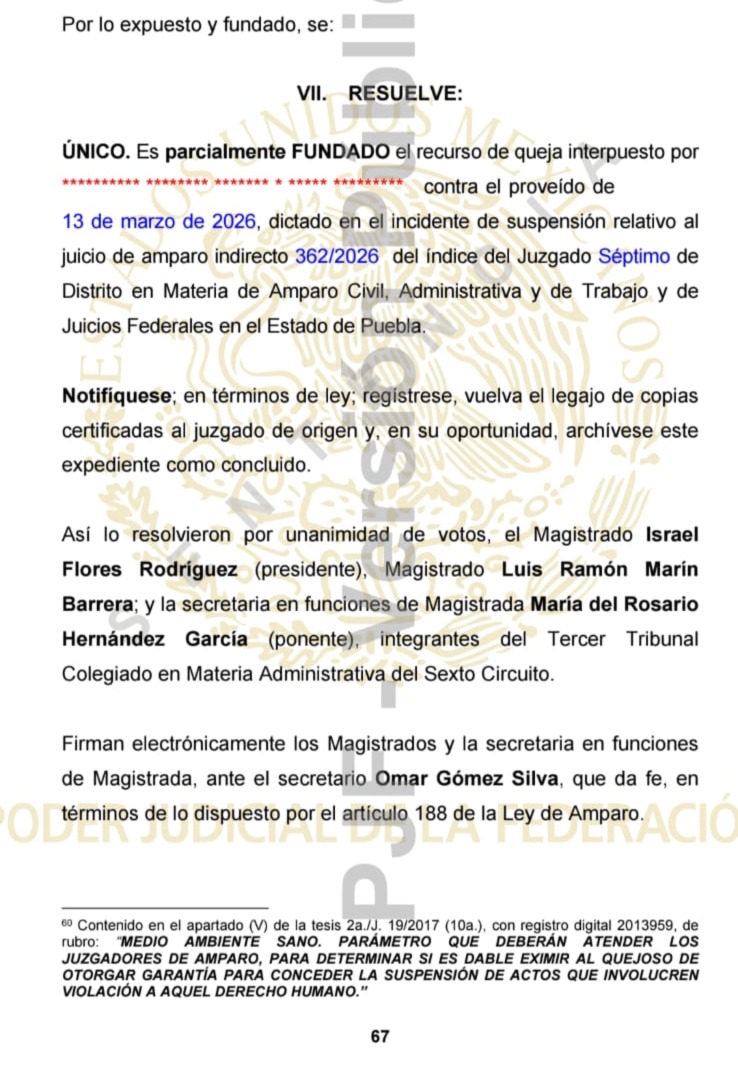 juicio_de_amparo.jpeg