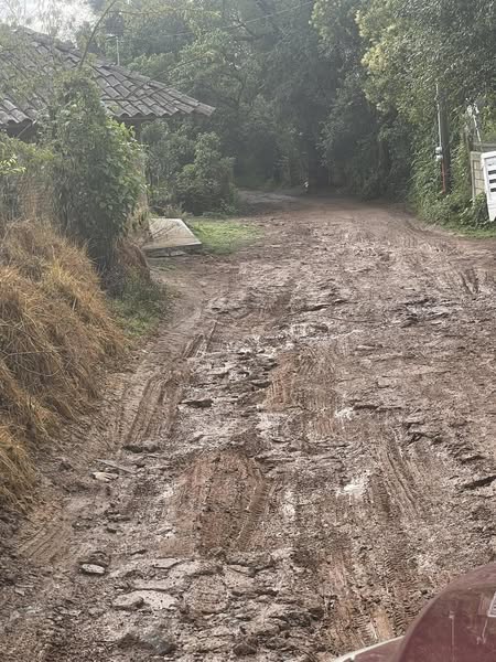 lluvias_danan_acceso_escolar_entre_jicolapa_y_poxcuatzingo.jpg