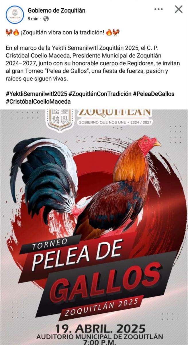 pelea_gallos_zoquitlan.jpeg