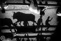 Giremos la foto 180 grados para apreciar el gran efecto, la nitidez lograda de la sombra del toro durante el encierro