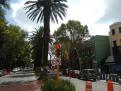 Foto / Laura Ruiz