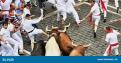 Con sólo un periódico  - lo único que se les permite – los corredores conducen corriendo los toros en las calles