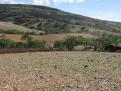 Campos de Loma cajón, Tepexi de Rodríguez