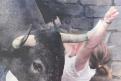 De la presencia de los toros “en puntas” se explican este tipo de lesiones
