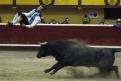 Un salto hacia atrás iniciado frente a la cara del burel. Ejecución perfecta de los Recortadores españoles