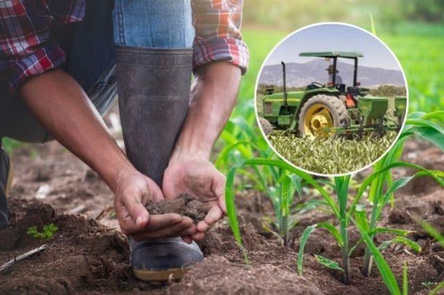Agricultores mexicanos