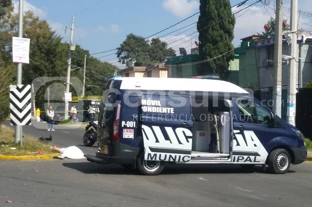 Foto / Especial