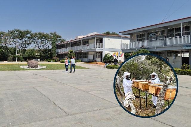Secundaria Técnica 104