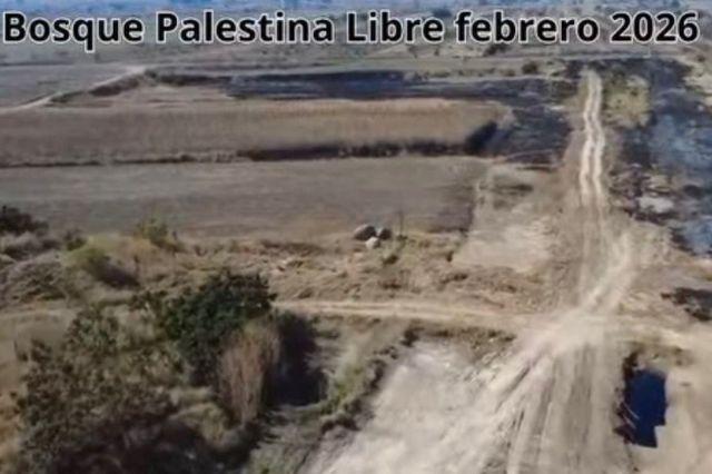 Bosque Palestina Libre 