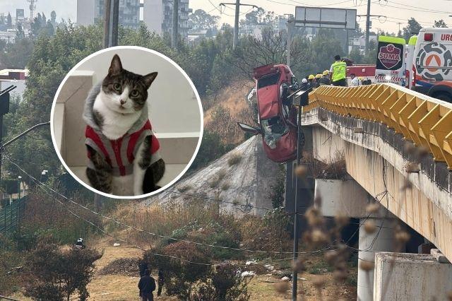 Aspecto general del accidente en el Periférico y la gatita que se perdió