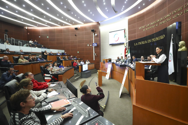 Exponiendo sobre sistema jurídico en el Senado: imagen ilustrativa 
