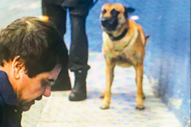 Foto www.noticiasmvs.com
