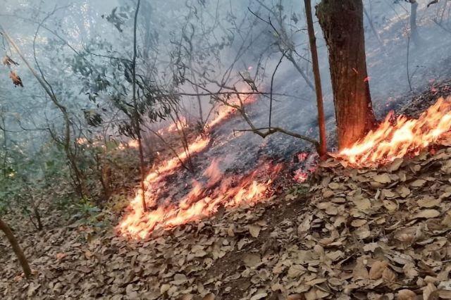 Controlan incendio forestal en Chignautla; afectó 10 hectáreas