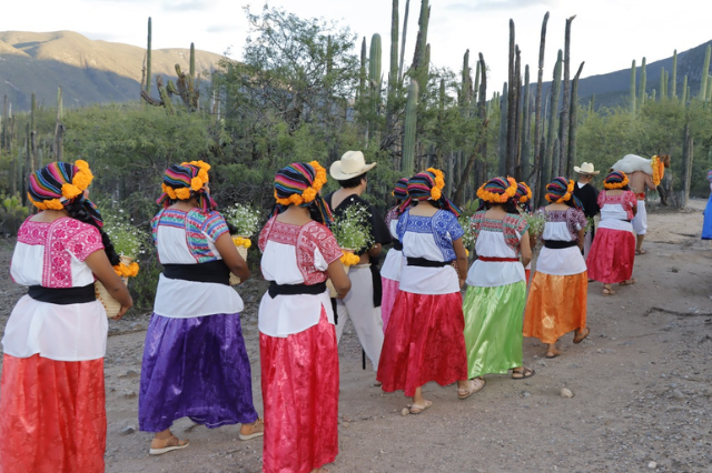 Chivo del Mole de Caderas