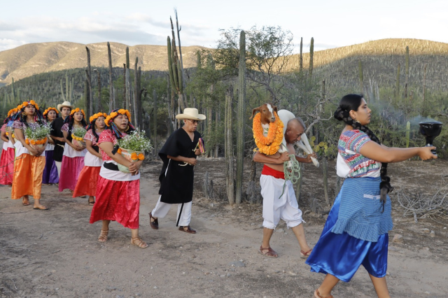 Chivo del Mole de Caderas