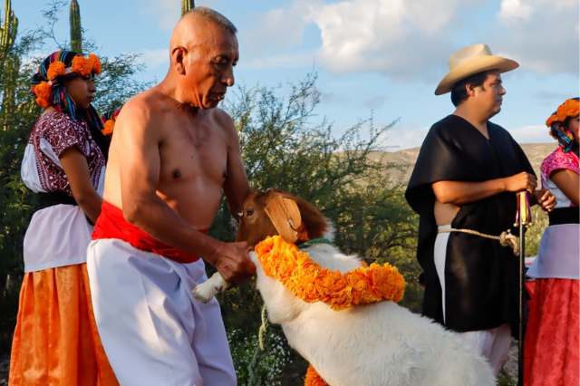 Chivo del Mole de Caderas
