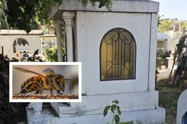 Enjambre de abejas