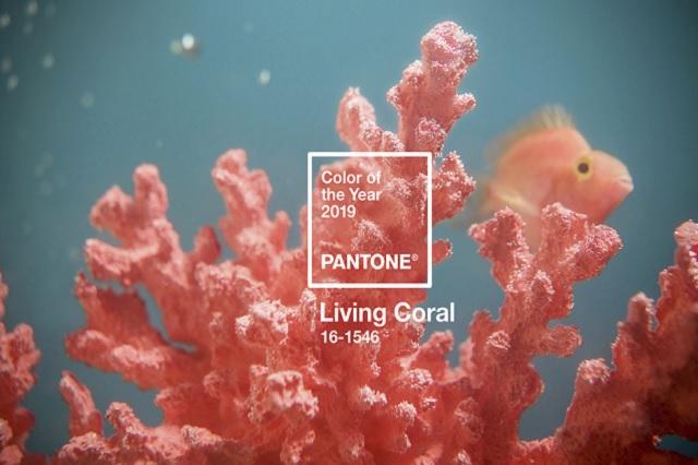 Foto: Pantone Institute