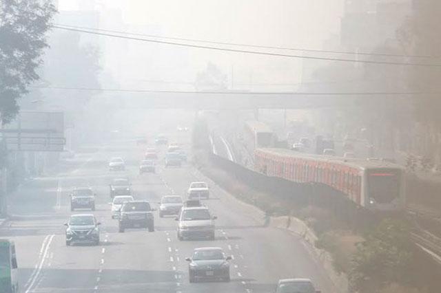 Foto www.jornada.unam.mx