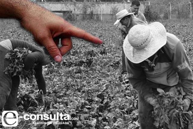 Foto / e-consulta