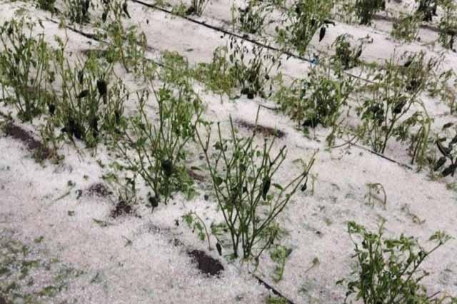 Granizada