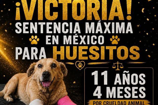  Huesitos en Tehuacán 