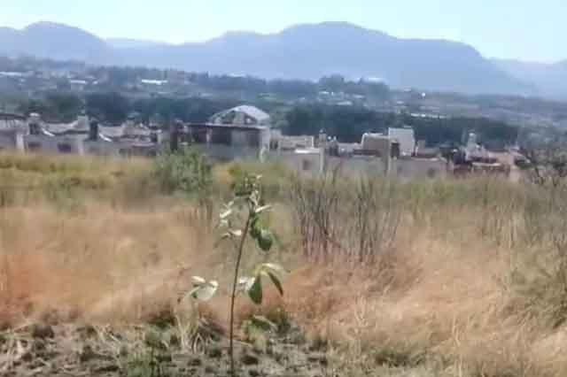 "Reforestando Andamos"
