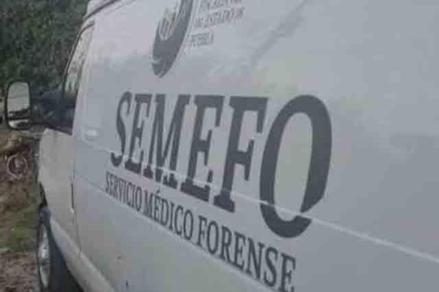 SEMEFO