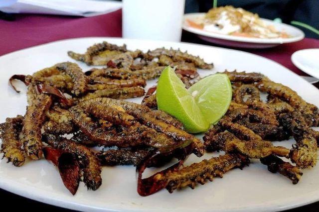 Zapotitlán Salinas