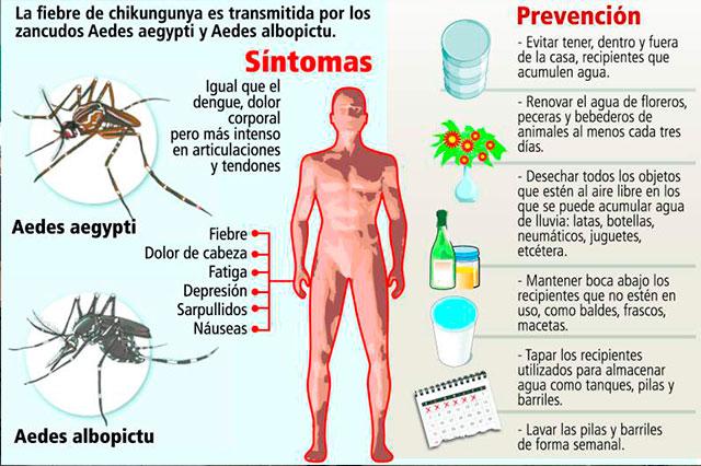 Foto vitaminasycelulasmadre.com